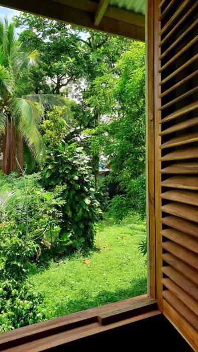 Hostel Old Bocasso Bocas del Toro Exteriér fotografie